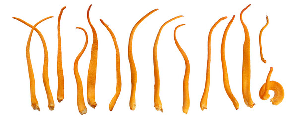 Chong cao, Dong Chong Xia Cao or mushroom cordyceps. Cordyceps militaris. Cordyceps mushroom...