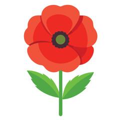 Poppy Flower with Pink Petals and Green Leaves in a Garden Setting Pro Vector