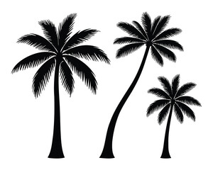 Obraz premium Silhouetted palm trees evoke a tropical vacation vibe