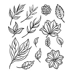 seamless floral pattern