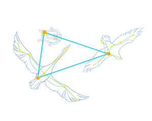 夏の大三角のカラー線画イラスト（白鳥・鷲・竪琴の絵あり）