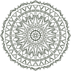 Beautiful flower art and mandala vector design