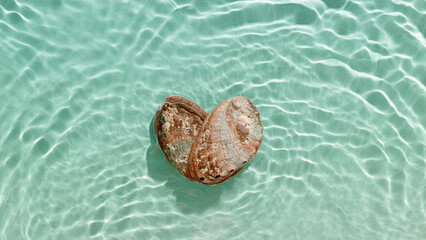 Minimal aesthetic banner, heart shape pearlescent seashells at sunlight, waves seawater, natural beauty organic forms. Shell as symbol of love, travel, tourism visual, vacation rest concepts