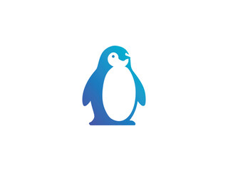 penguin on white background