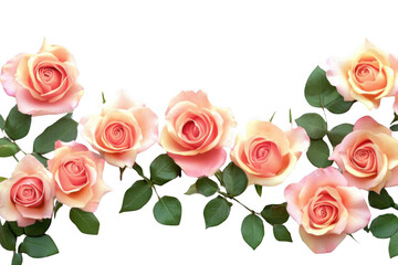 Fototapeta premium Beautiful Peach Roses With Leaves Arrange on Black Background, Floral theme