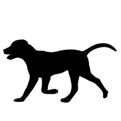 Animals dog silhouette set