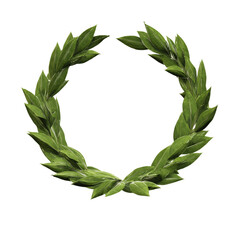 Circular Laurel Wreath of Green Leaves - Isolated