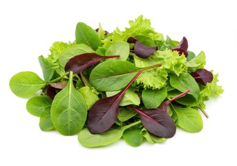 Fresh mixed salad greens with lettuce and baby spinach on white background
