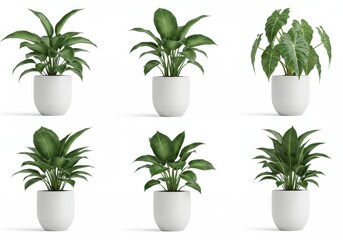 Obraz premium Six potted plants in white containers against a white background