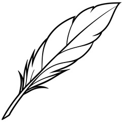 Obraz premium Delicate Line Drawing of a Floating Feather