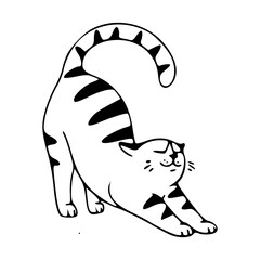 stretching cat outline vector