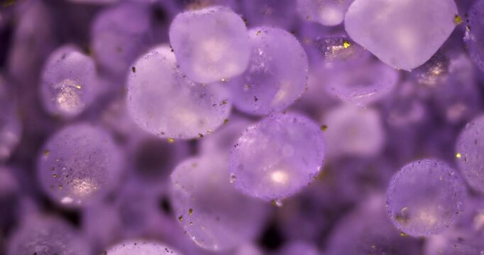 Microscopic view of rounded methyl violet granules. Close-up shows violet-colored granules with sparkling gold-like particle inclusions under high magnification