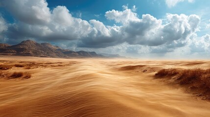 Fototapeta premium Panorama sand storm under cloudy sky with arid dune wave concept. Breathtaking desert landscape with golden sand and blue sky.