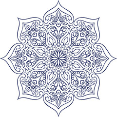 Beautiful flower art and mandala vector design