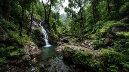 Secret Waterfall in Dense Jungle Surrounded by Lush Vegetation