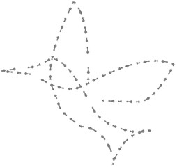 Dashed-line illustration of a hummingbird in flight, minimalist style on a white background.
