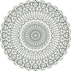 Beautiful flower art and mandala vector design