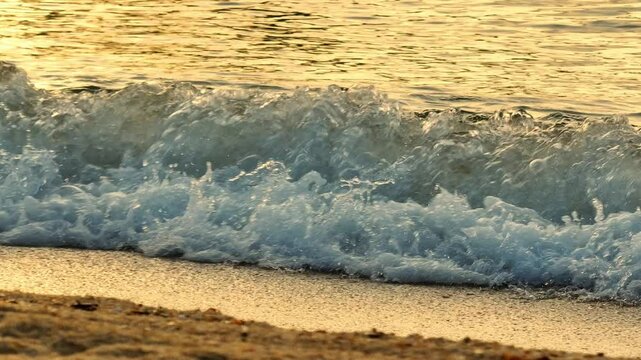 Capturing the smooth motion of ocean waves washing over the shore, with soft sunlight reflecting on the wet sand. A great image for nature, relaxation, and beach tourism concepts.
