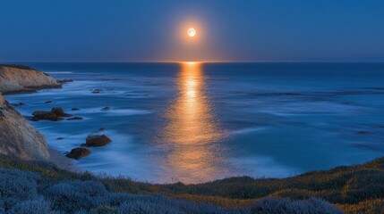 Obraz premium Serene Coastal Moonrise: A Captivating Night Scene