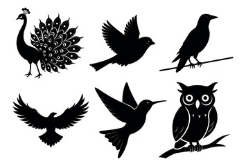 Bird Species Silhouette Set with Owl On White Background , Peacock, and Hummingbird | Vector Wildlife Icons, Bundle Of 6 Birds