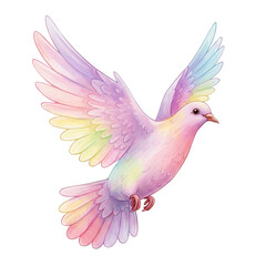Fototapeta premium Colorful dove with pastel feathers and outstretched wings in flight.