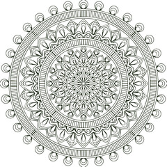 Beautiful flower art and mandala vector design