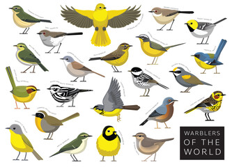 Birds Warblers of the World Set Cartoon Vector Character
