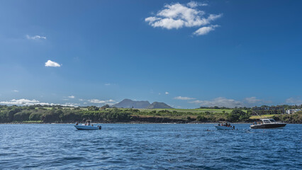 Tourist motorboats in the blue ocean. The backs and dorsal fins of dolphins are visible above the water. People are watching, snorkeling. There is green vegetation on the coast of the island.Mountains
