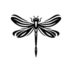 Wildlife vector of dragonfly with transparent wings detailed insect macro illustration for nature inspired bug art and scientific design project

