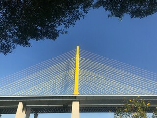 bridge over the river