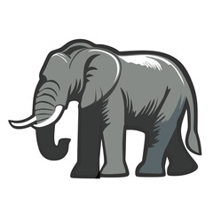 Obraz premium elephant on white background. African animal. Animal vector