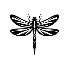 Tropical dragonfly vector artwork with beautiful wings macro insect detail for nature wildlife and educational use bug themed design ideal for scientific visuals