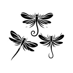Vector design of dragonfly insect with transparent wings macro bug detail for wildlife illustration nature themed educational art and entomology inspired graphics