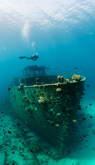 海に沈んだ船とダイバー