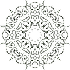 Beautiful flower art and mandala vector design