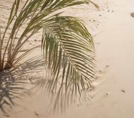 Obraz premium Palm fronds sway, sun-drenched sand, faded film effect, soft light, holiday, beach, nature