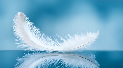 Fototapeta premium Aesthetically Pleasing White Feather Against Gentle Blue Backdrop Reflective Surface