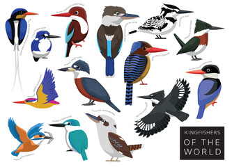 Obraz premium Birds Kingfishers of the World Set Cartoon Vector Character