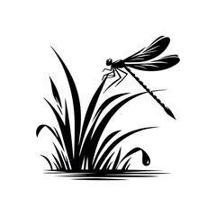 Dragonfly resting on natural grass in summer vector art with transparent wings detailed insect design meadow background and realistic wildlife biodiversity concept in nature