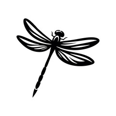 Wildlife Dragonfly Vector Illustration with Transparent Wings and Macro Insect Detail for Summer Garden Nature Art