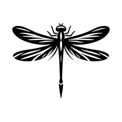 Dragonfly Vector Artwork Featuring Transparent Wings and Realistic Macro Detail for Wildlife Nature Insect Design