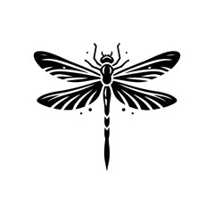Transparent Wing Dragonfly Vector Illustration with Macro Detail of Insect for Natural Wildlife Summer Design