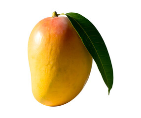 Mango on isolated transparent background png