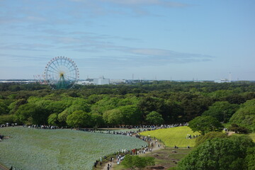 国営ひたち海浜公園