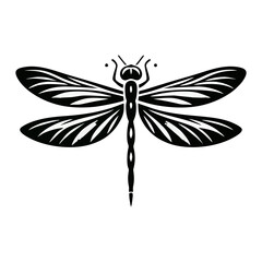 Detailed Insect Dragonfly Vector Illustration of Macro Nature Wildlife with Realistic Transparent Wings Design