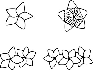 Frangipani flower outline set isolated on a transparent background, Frangipani silhouette Plumeria black outline, Flat Vector illustration. Eps File for Cricut