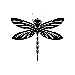 Closeup Dragonfly Vector Image with Transparent Wings and Fine Detail for Nature Bug Illustration and Summer Outdoor Animal Design