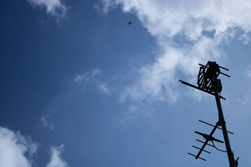 View looking up at a TV antenna silhouetted against a blue sky with clouds. Represents technology and communication.

