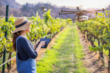 Smart vineyard system with winegrower control drone
