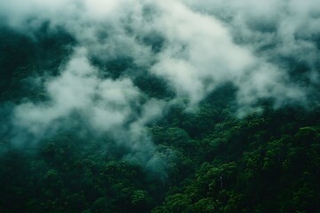 Misty Mountain Forest Aerial View. (2)